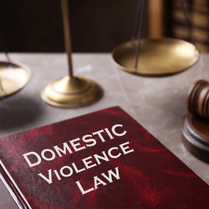 Violencia Domestica y la Cutodia Menores